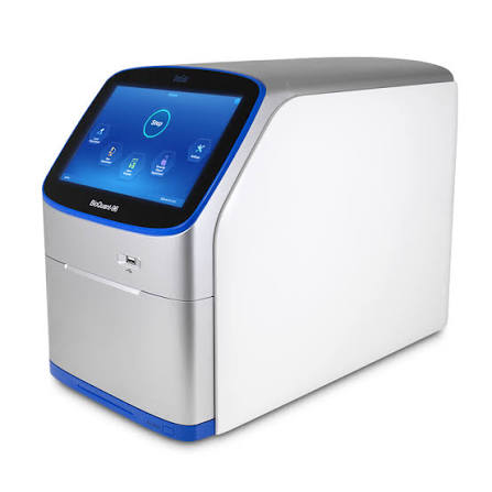 Real-Time PCR